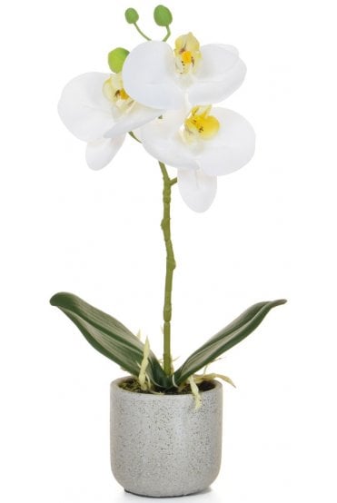 Artificial Orchid Arrangement 30cm