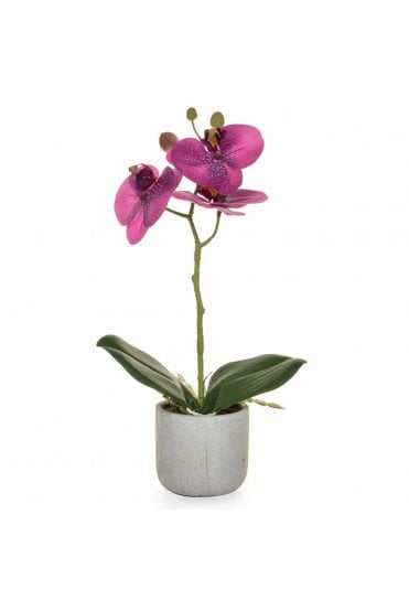 Artificial Orchid Arrangement Set 30cm Purple