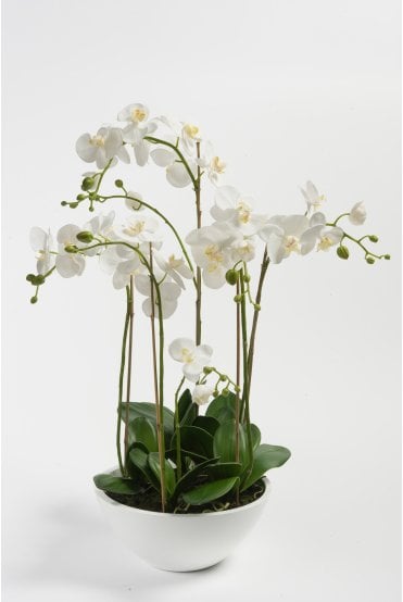 Artificial Orchid Display 90cm