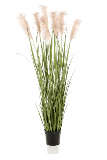 Artificial Pampas Grass 175cm