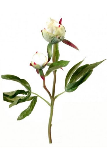 Artificial Peony Bud Stems Pack of 3