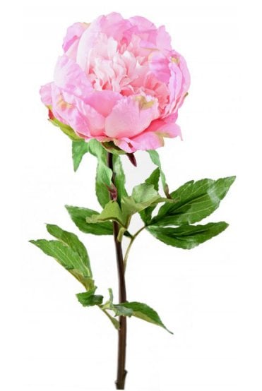 Artificial Peony Pink 80cm Pack of 3