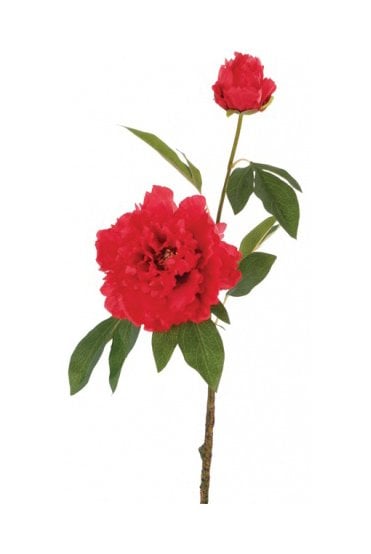 Artificial Peony Stem Pack of 3