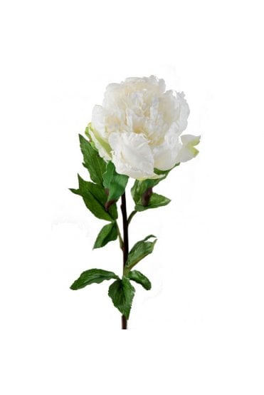 Artificial Peony White 80cm - Pack of 3
