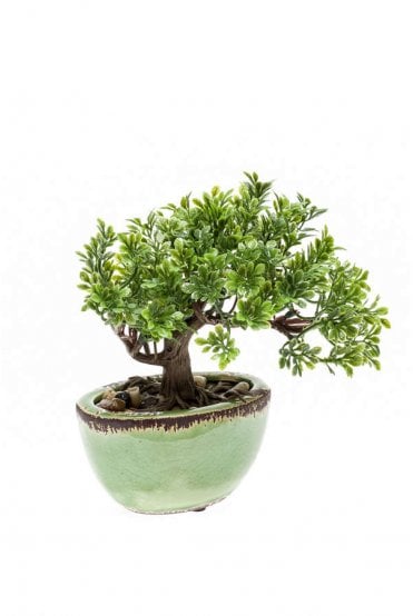 Artificial Bonsai Ficus Tree Mini Arrangement