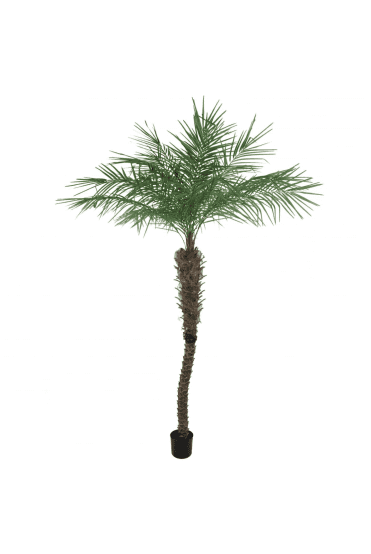 Artificial Potted Phoenix Palm Tree 210cm
