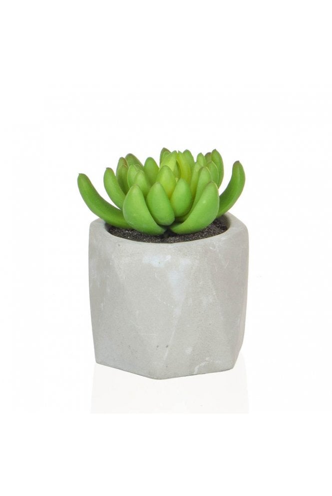 Artificial Potted Succulent Plant 11cm