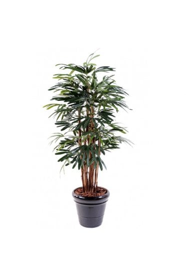 Artificial Raphis Palm Tree