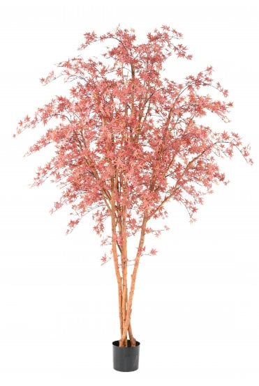 Artificial Red Aralia Tree 280cm UV