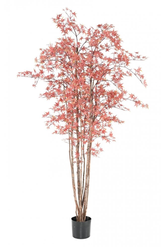 Artificial Red Aralia Tree 2.1m UV