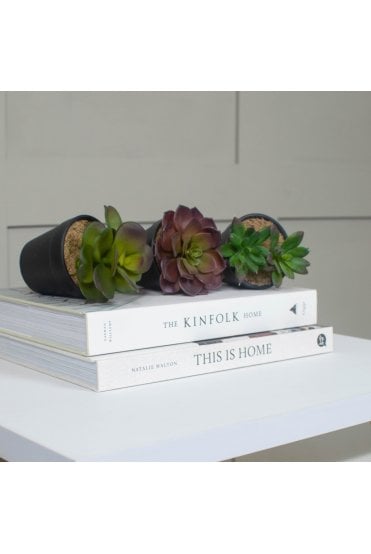 Pack of 12 Artificial Succulents