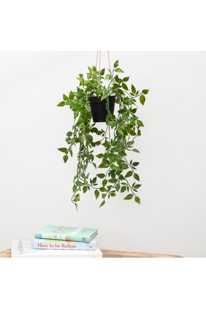 Artificial Trailing Plant in Black Pot. 