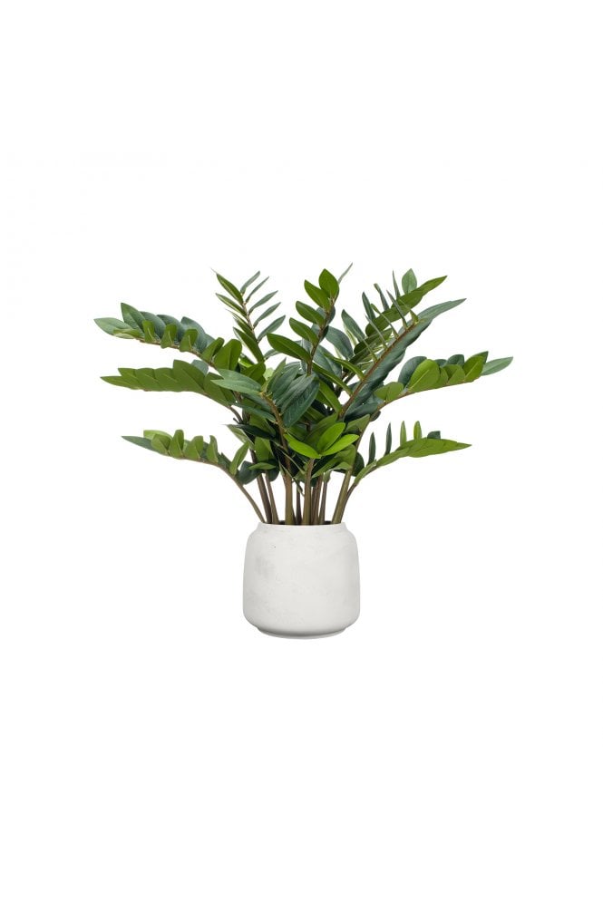 Artificial Zamio Zami in Cotswold Pot