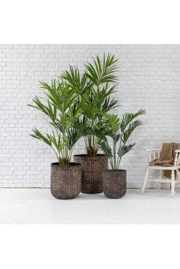 Brown Bamboo Distressed Pot