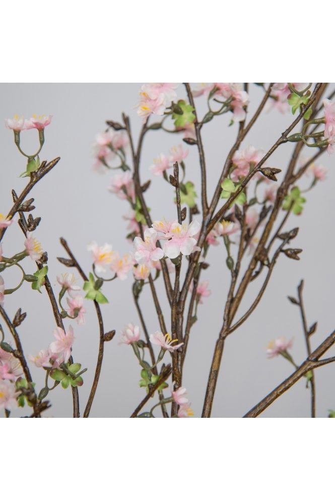 Cherry Blossom- Pink 140cm 