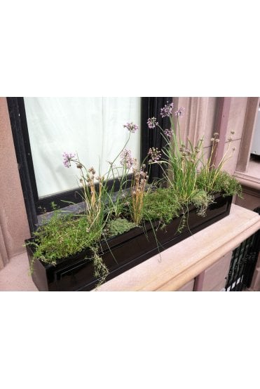 Classic Window Box
