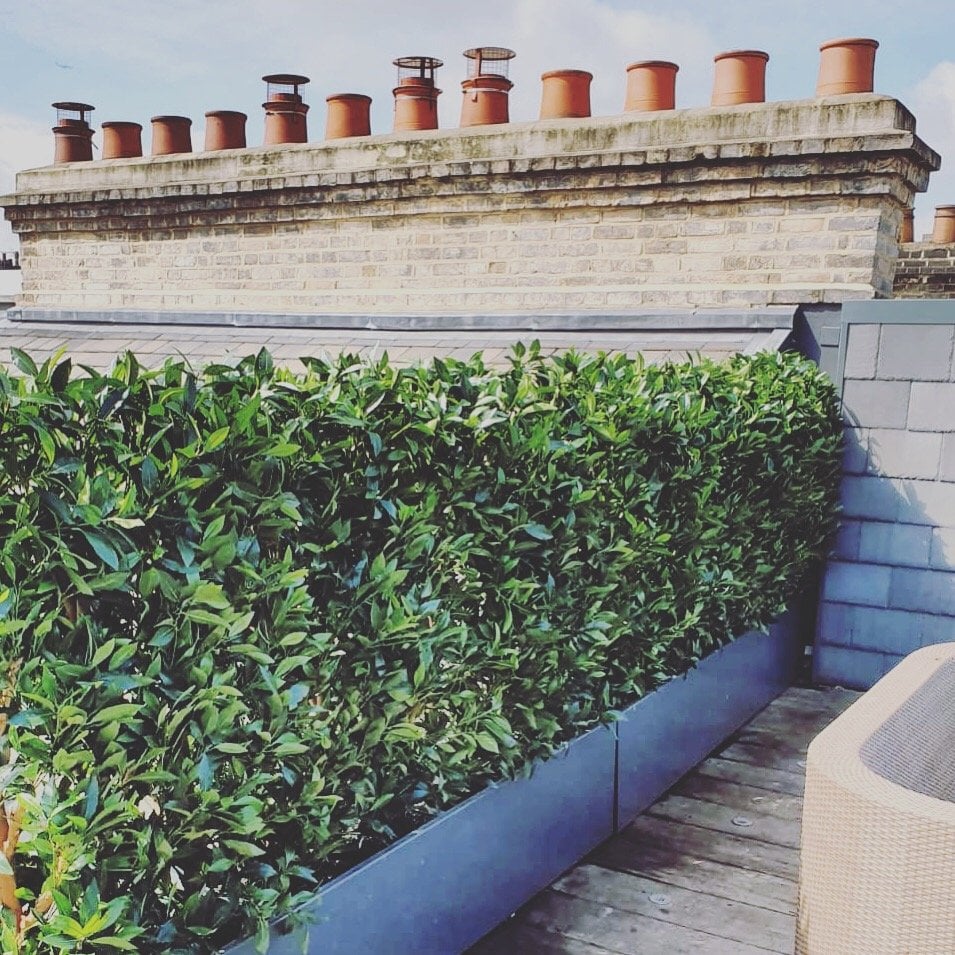 Artificial Bay Hedge in Trough Installed
