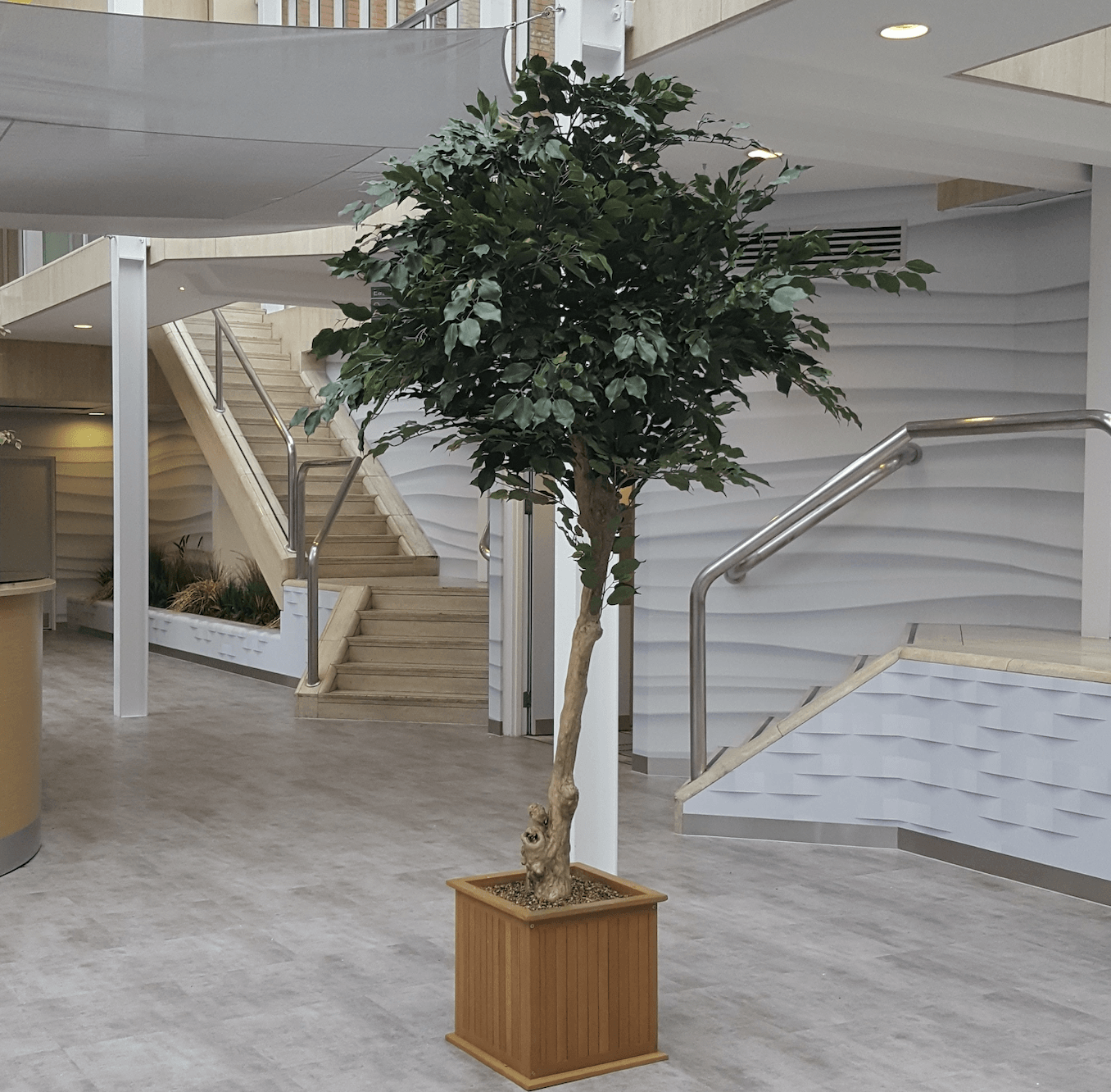 Bespoke Artificial Ficus Tree