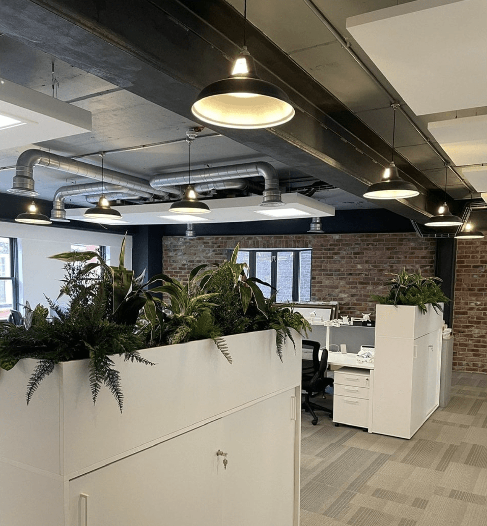 Replica Plants In Office
