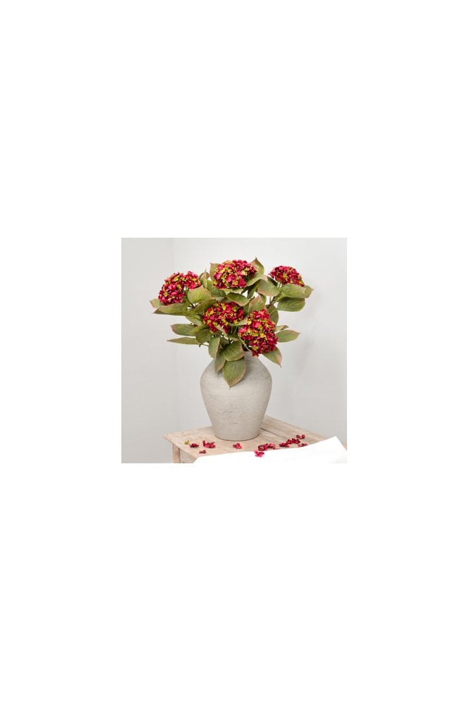 Hydrangea- Burgundy 