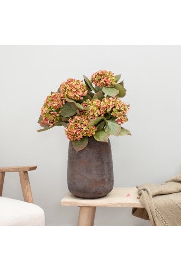Hydrangea- Pink and Green 