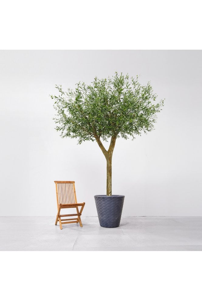Large Artificial Olive Tree 3m - Flame Retardant