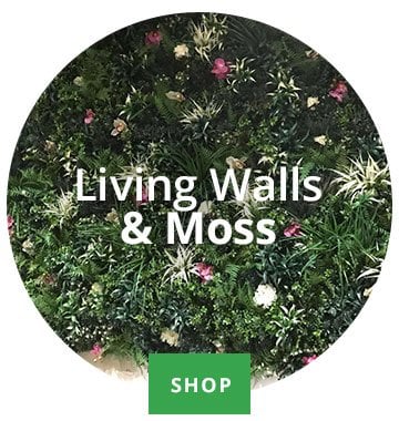 Living Walls & Moss