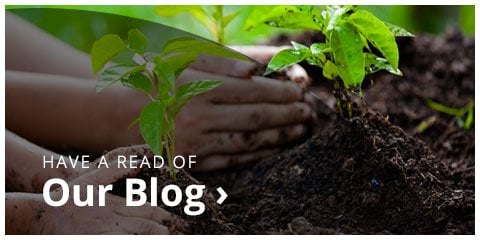 Read Our Blog