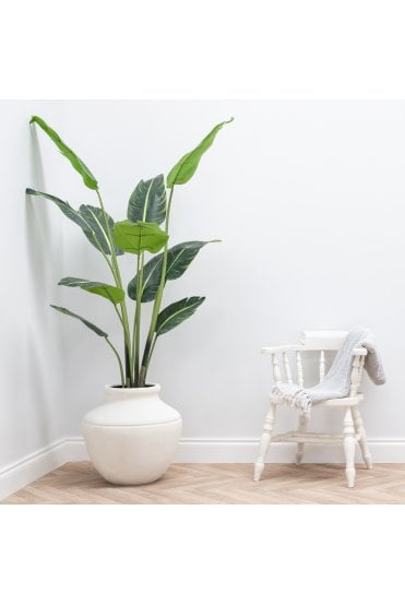 Moss White Urn Shaped Pot