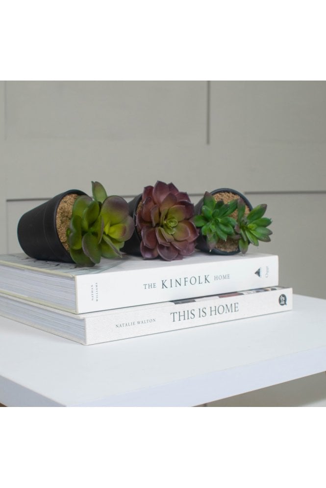Artificial Succulents Pack of 12