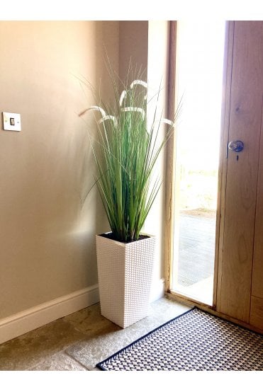 Potted Artificial Dog-tail Grass 150cm