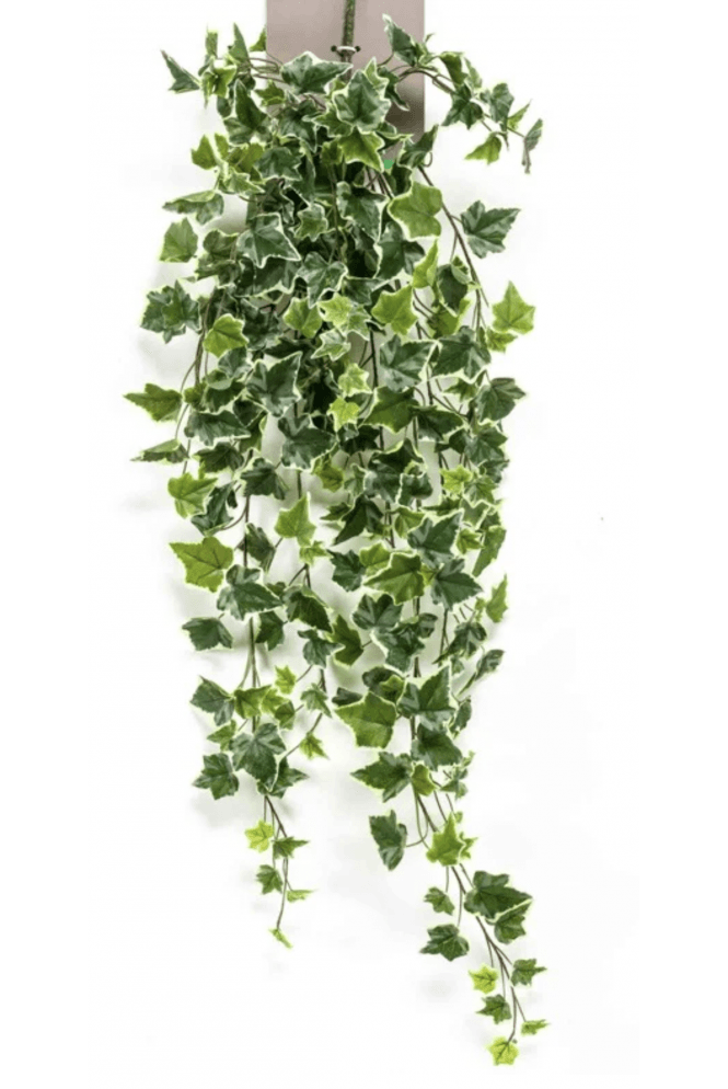 100cm Artificial Ivy in Green and Green and Cream.