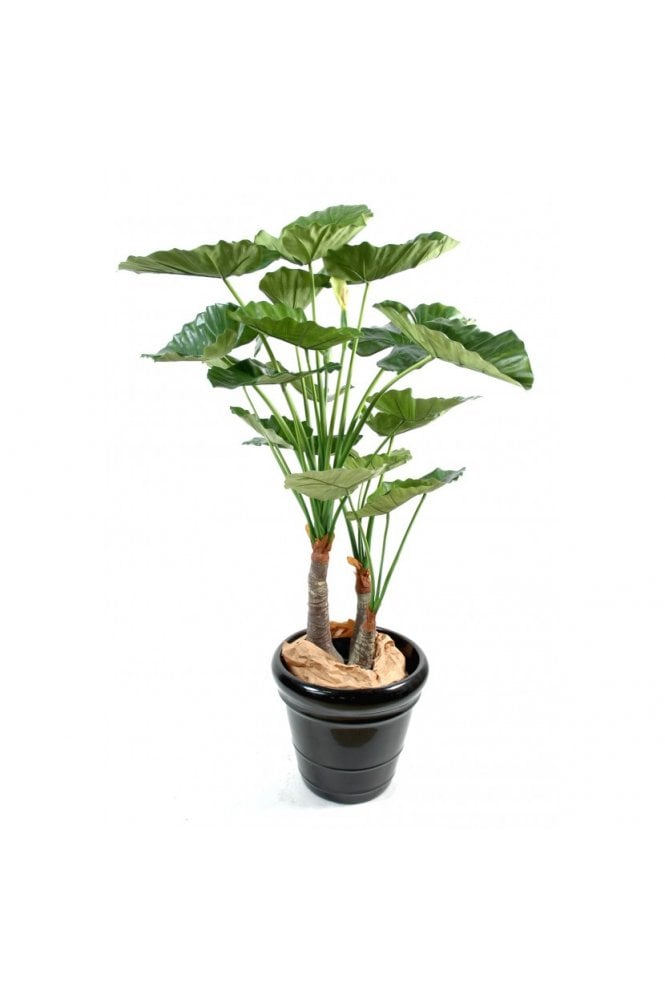  Artificial Alocasia Calisdora 120cm