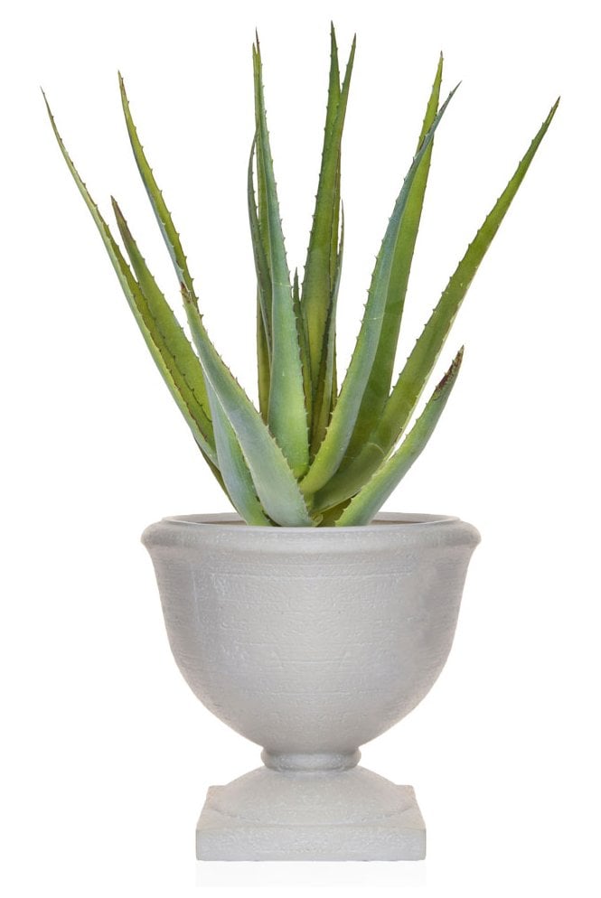 Artificial Aloe in Urn Arrangement