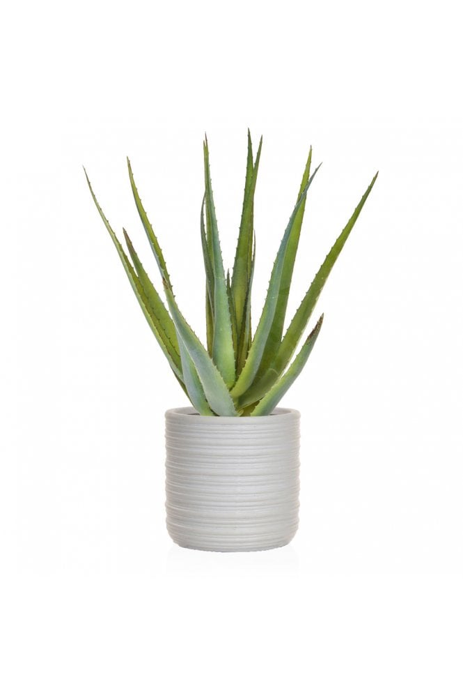 Artificial Aloe Arrangement in Ribbed Natural Effect Planter