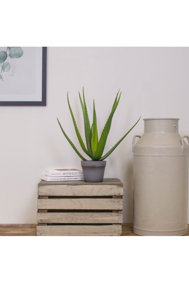 Artificial Aloe 50cm in Planter 