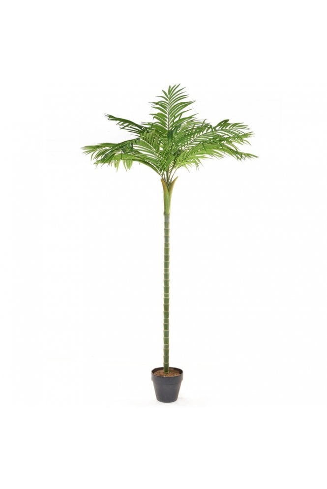 Artificial Areca Palm Tree Single Stem