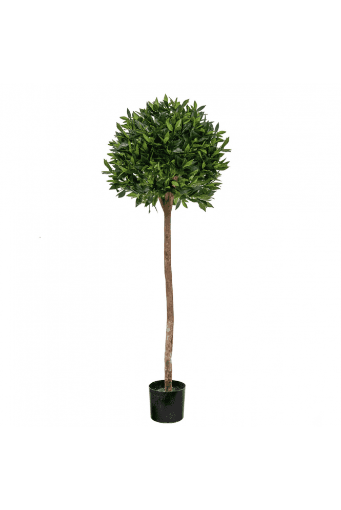 Artificial Bay Laurel Ball Tree