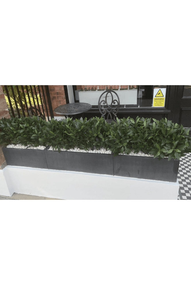 Artificial Bay Laurel Leaf Trough Fillers.