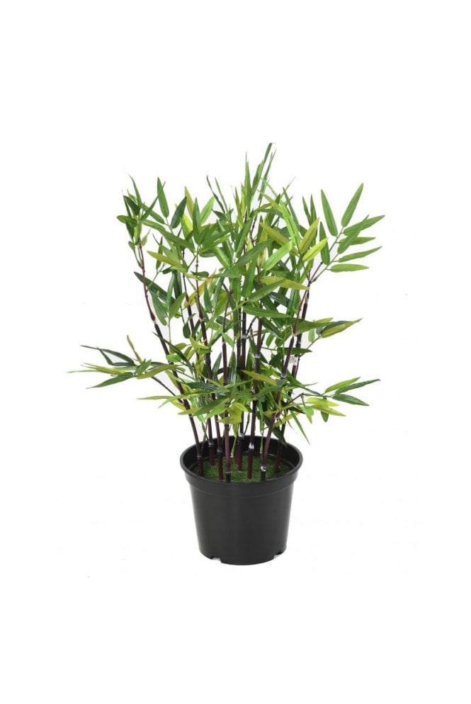 Artificial Mini Black Stem Bamboo