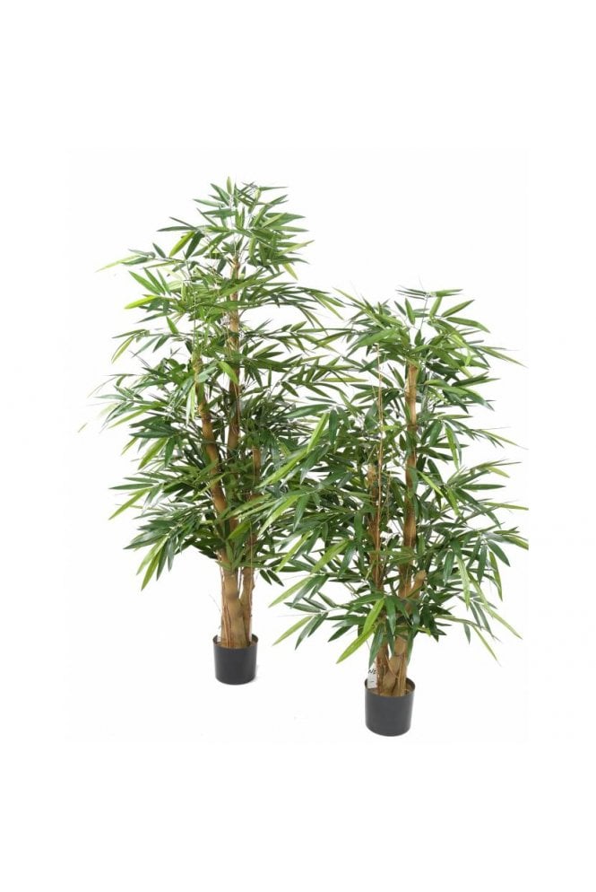 Artificial Budha Bamboo