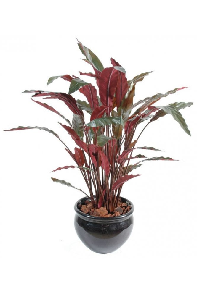  Artificial Calathea Plant Green/Red 80cm