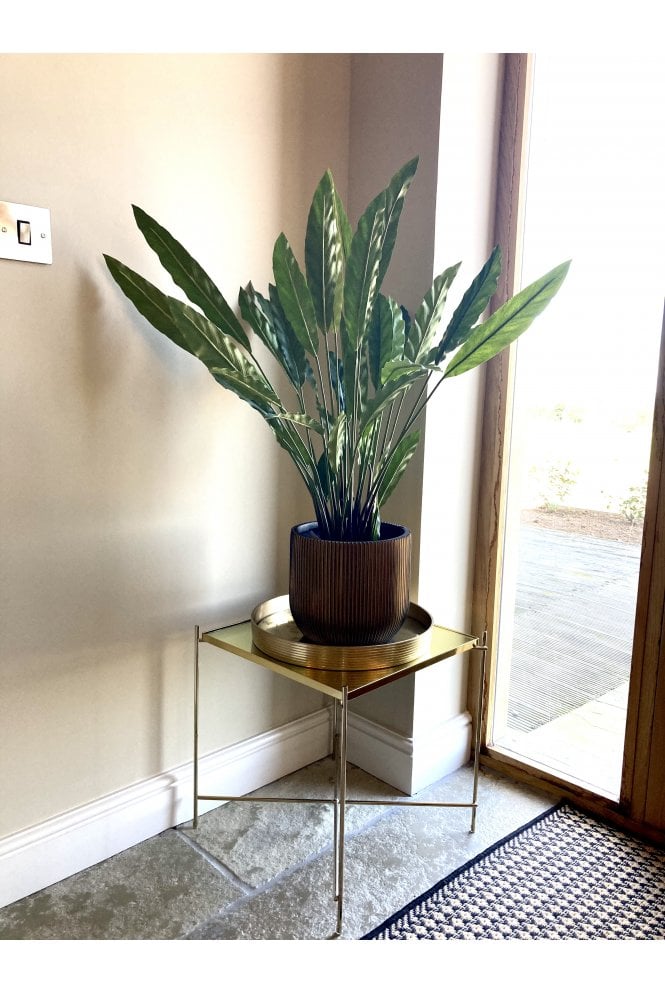 Potted Artificial Calathea Display