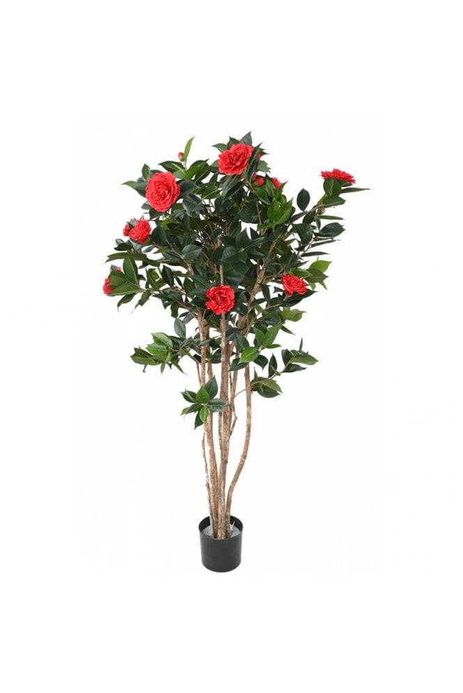 Artificial Camelia