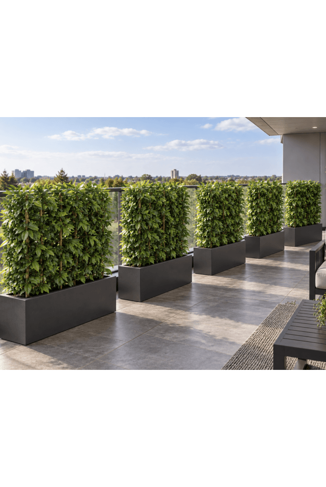 Artificial Charm Foliage Hedge