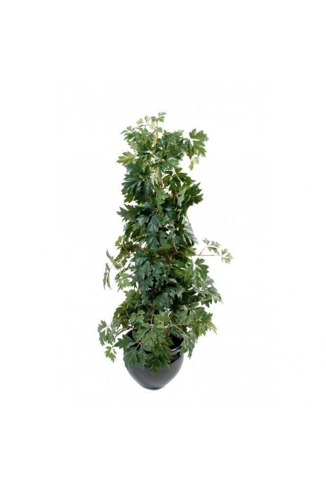 Artificial Cissus 100cm