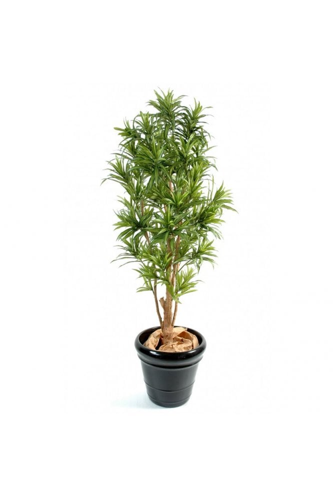 Artificial Dracaena Reflexa Tree 110cm