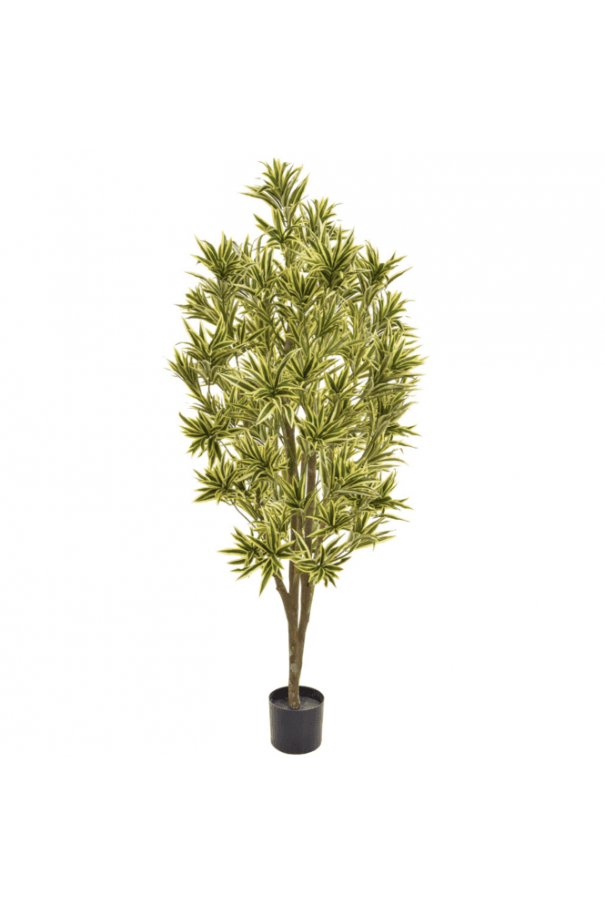 Artificial Dracaena Reflexa 170cm