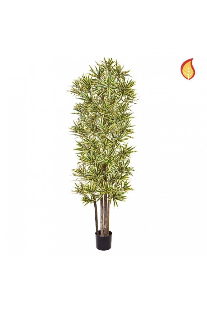 Artificial Dracaena Song of India 180cm Flame Retardant