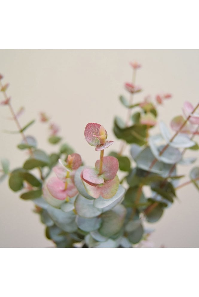 Artificial Eucalyptus Foliage Green/Red
